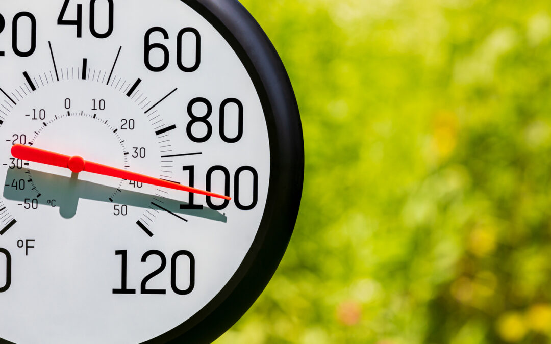 Energy-Saving Tips for Summer